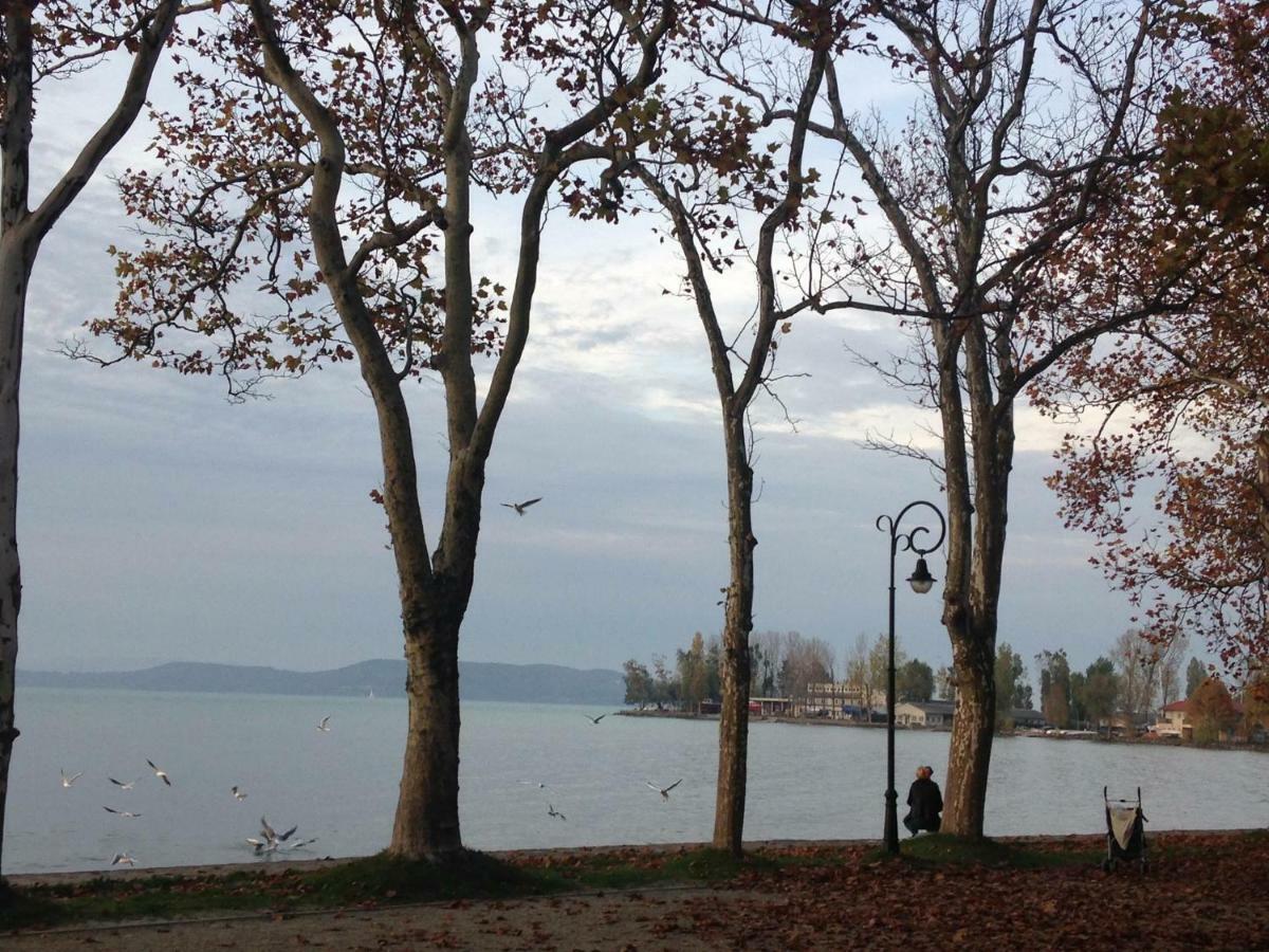 Tamas Apartman Balatonfoeldvar Sziveben- Egesz Evben Nyitva! Bagian luar foto