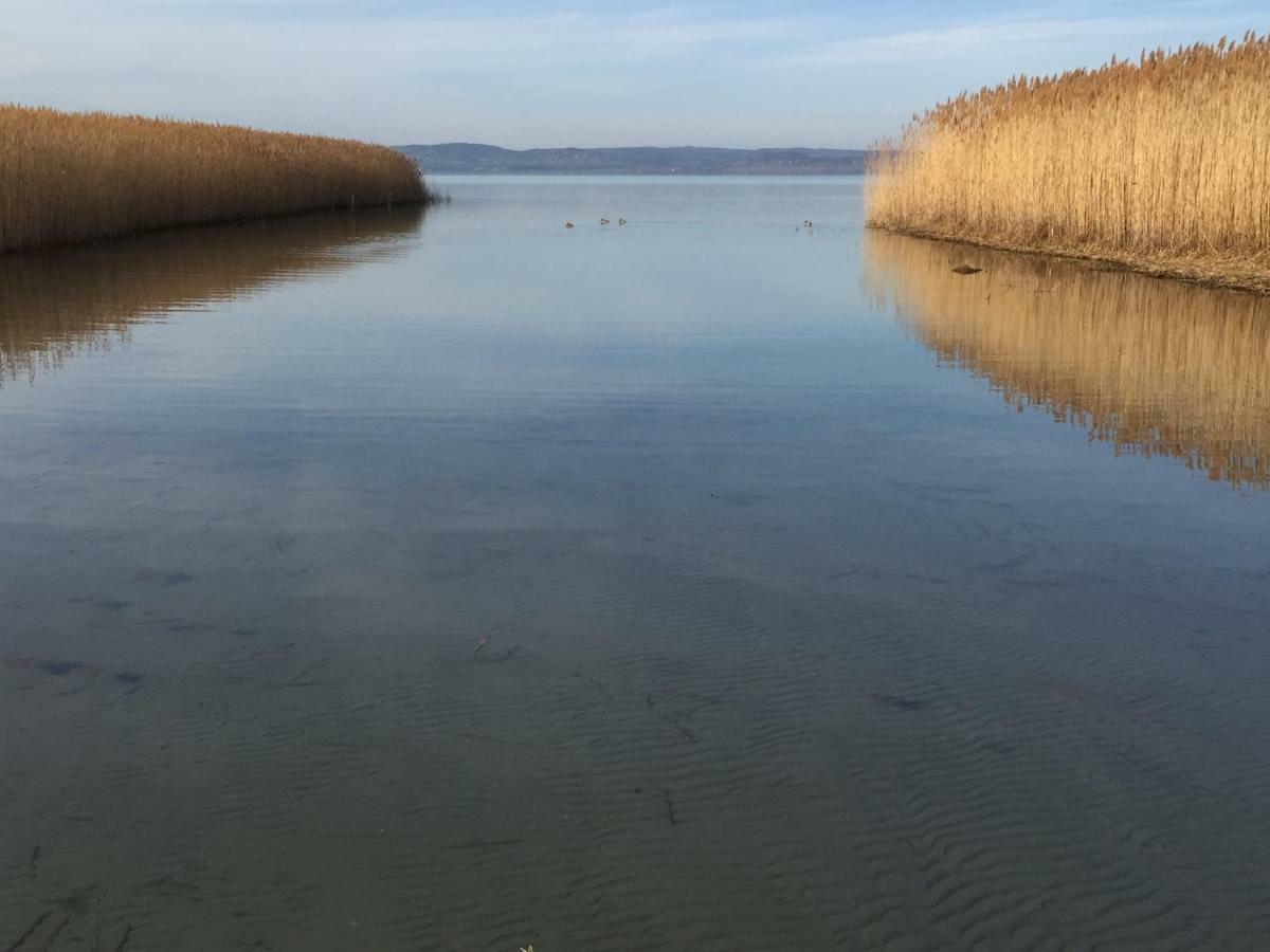 Tamas Apartman Balatonfoeldvar Sziveben- Egesz Evben Nyitva! Bagian luar foto