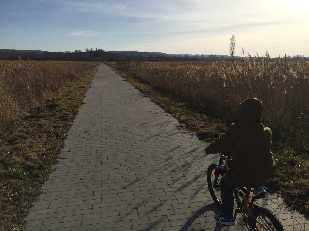 Tamas Apartman Balatonfoeldvar Sziveben- Egesz Evben Nyitva! Bagian luar foto